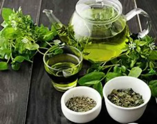 GREEN TEA